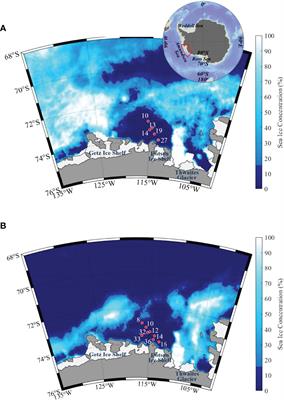 Bacterial Metabolic Response to Change in Phytoplankton Communities and Resultant Effects on Carbon Cycles in the Amundsen Sea Polynya, Antarctica